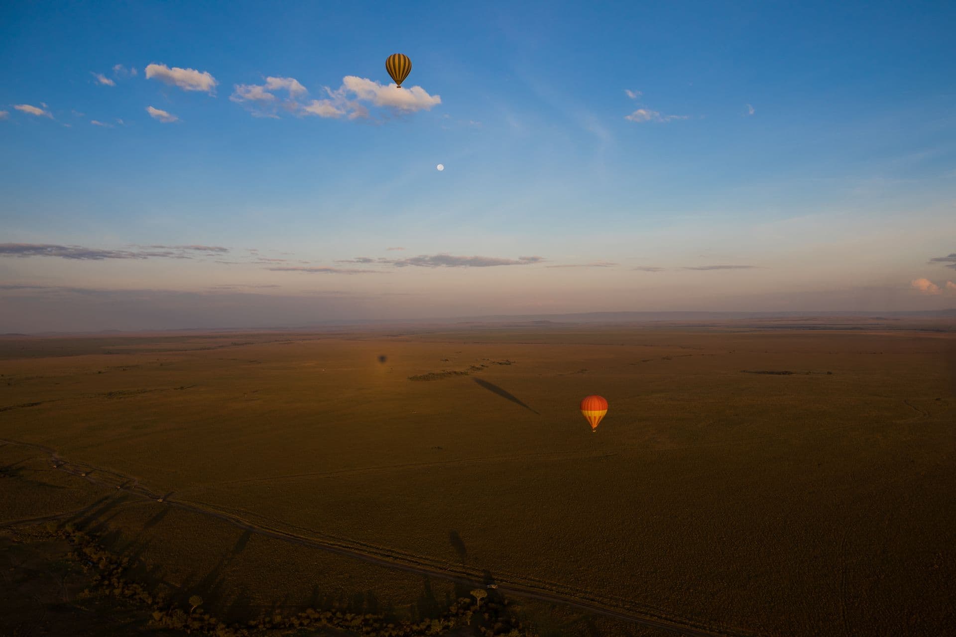 Hot air balloons rising over the Maasai Mara at sunrise