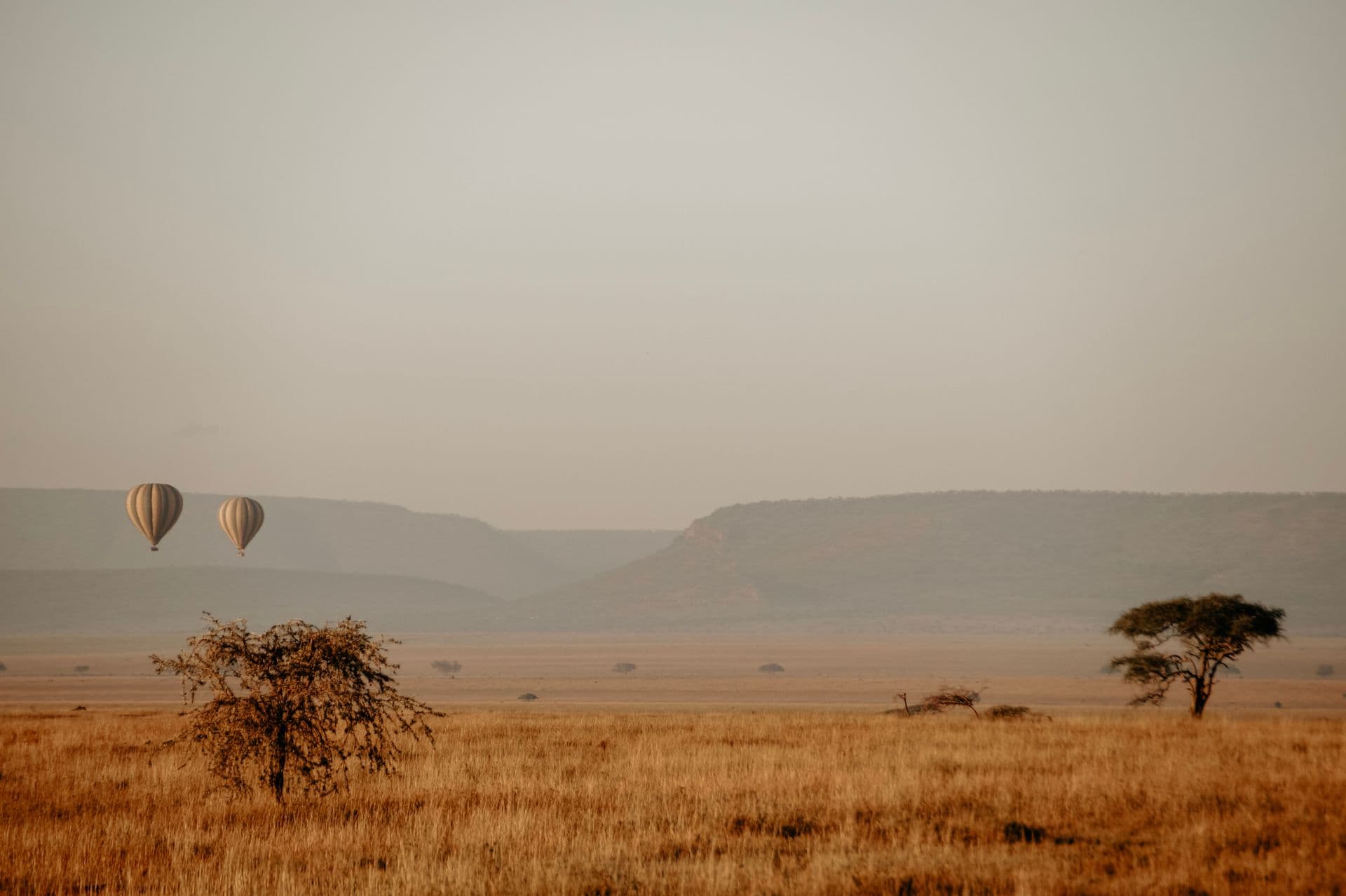 Balloons over the Serengeti at dawn