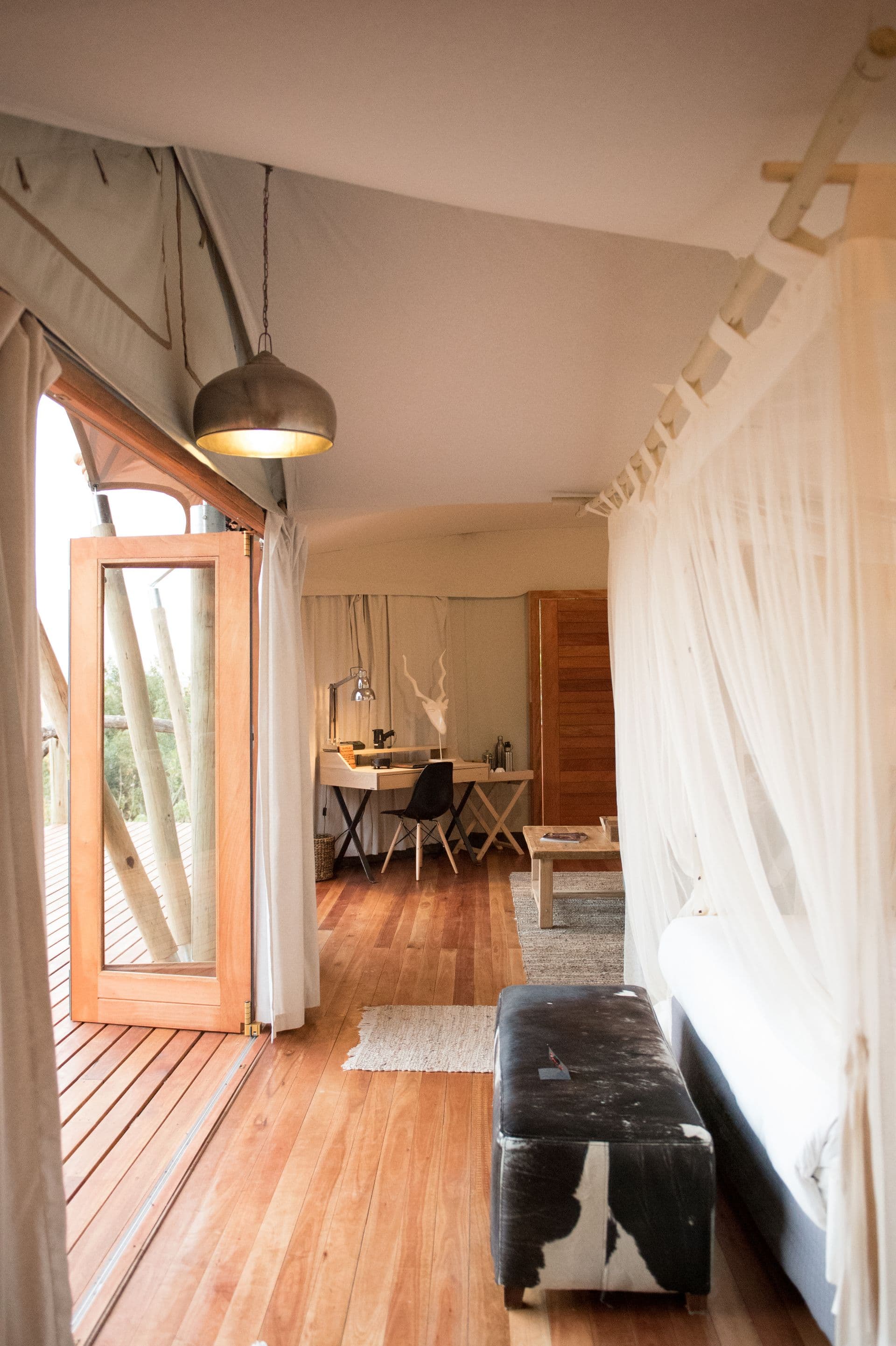 Lodge veranda looking out over the bush