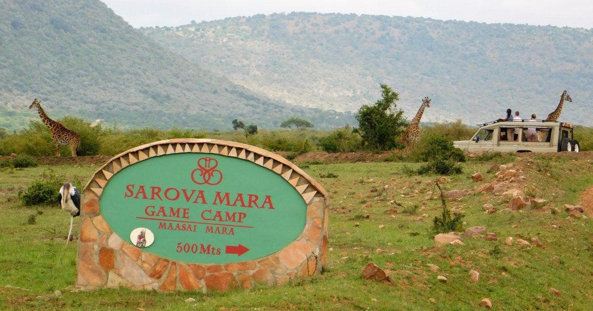 Sarova Mara Game Camp is a comfortable luxury tented camp set in the heart of the Maasai Mara ecosystem. Surrounded by beautiful gardens and natural wilderness, the camp offers well-appointed tents, a swimming pool, dining facilities and relaxing spaces, making it an ideal base for exploring the Mara. Guests can enjoy easy access to exciting game drives while returning to a comfortable and tranquil setting after a day in the reserve.